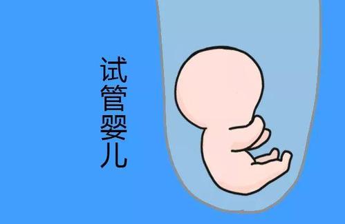 关于素竹生殖